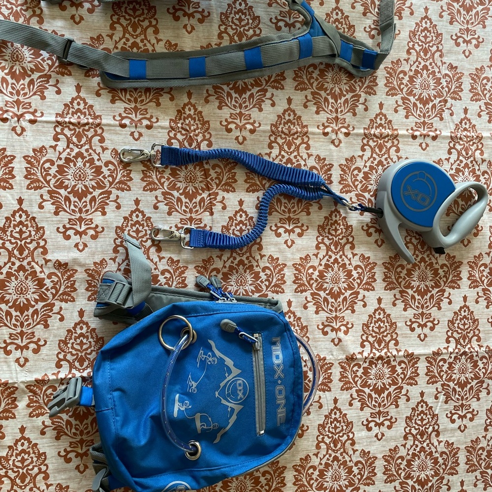 Kids ski backpack harness